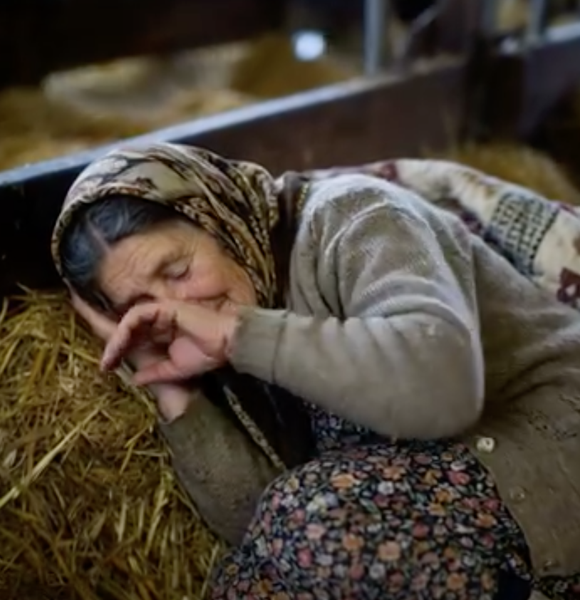 Hasan’la o evi kendi ellerimizle inşa etmiştik - 2