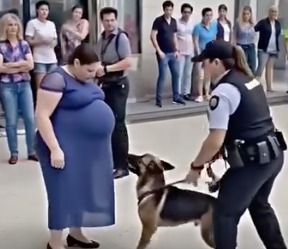 Köpek her gün hamile kadının karnına bakıp havlıyordu - 2