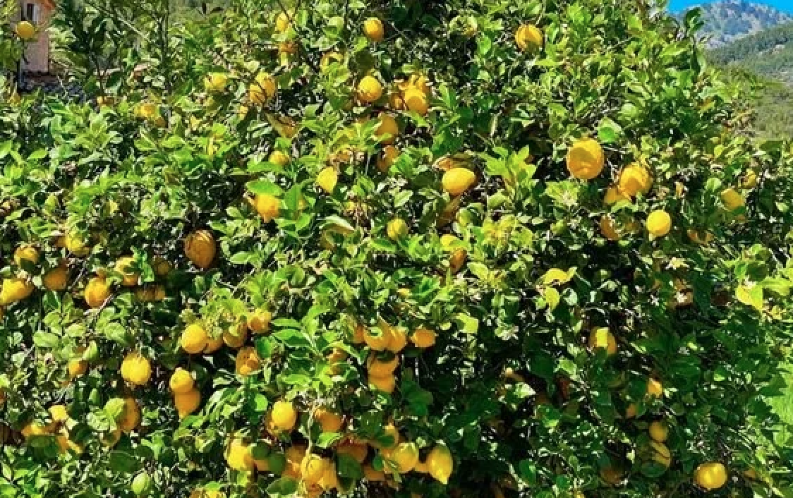 Bir baba, sekiz yıl boyunca eşini ve bebeğini kaybettiğine inanmıştı - 1