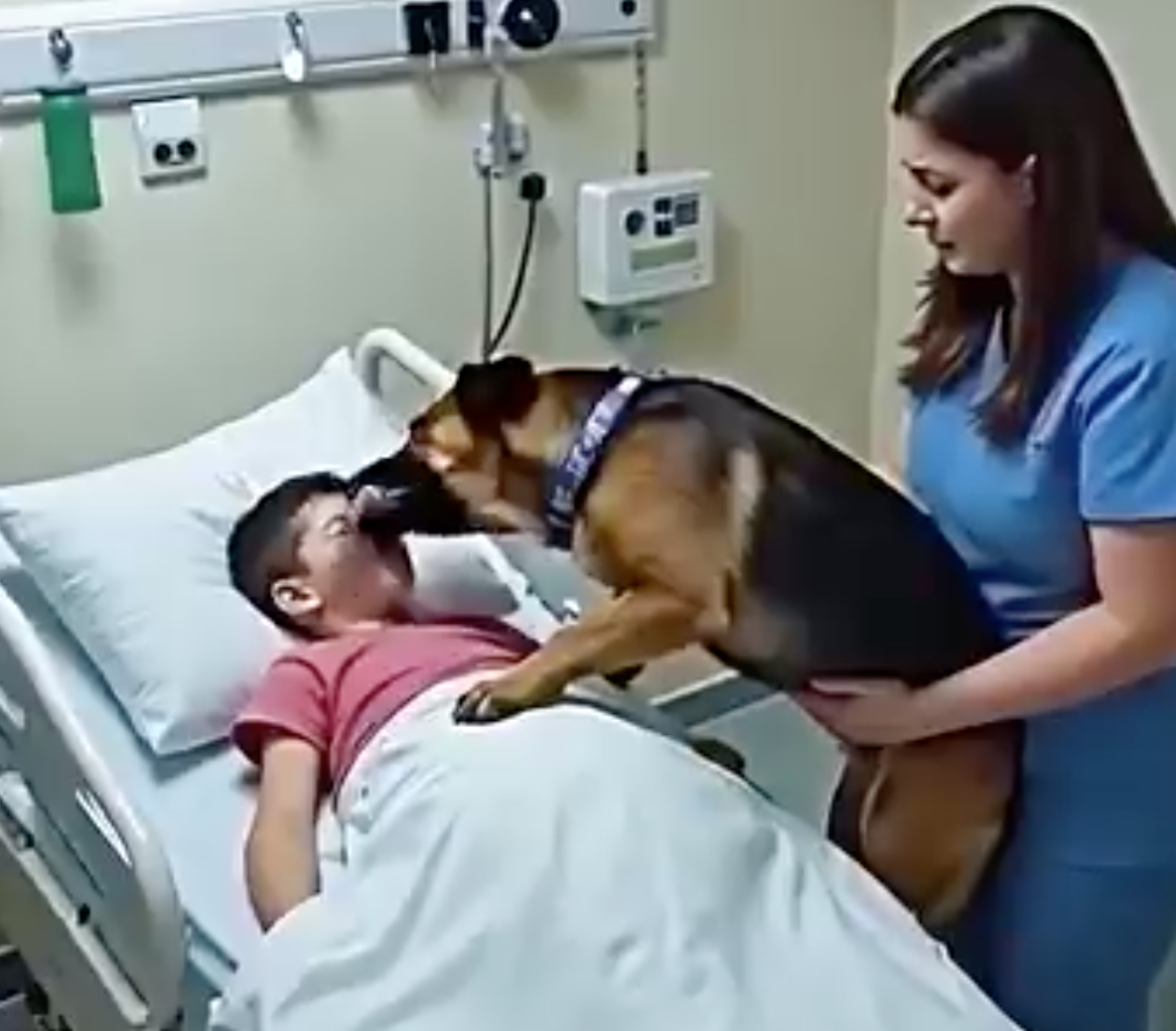 Köpeğim hastanede benimle kaldı - 2