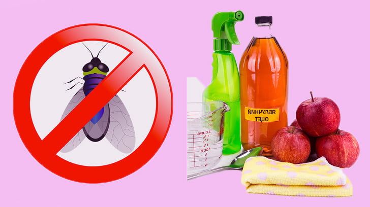 1 Damla Sürdüm Sivrisinekler Hiç Yaklaşamadı - 4