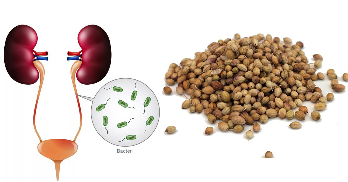 İdrar Yolu Enfeksiyonunu Geçiren 7 Doğal Yöntem - 2