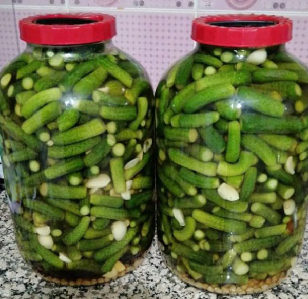 İzmir Usulü Kornişon Salatalık Turşusu Tarifi - 1