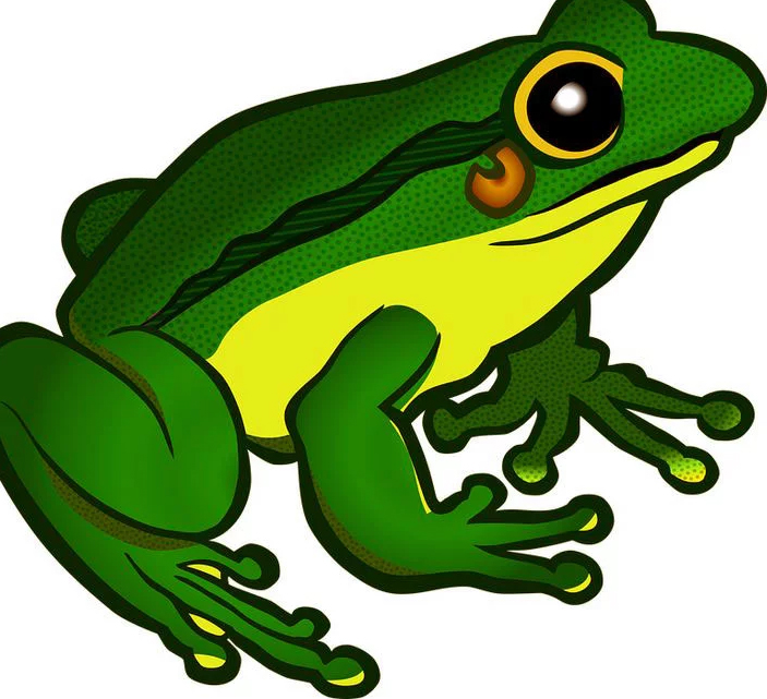 Resimde Gördüğün İlk Hayvan, Karakterini Ortaya Çıkaracak - 7