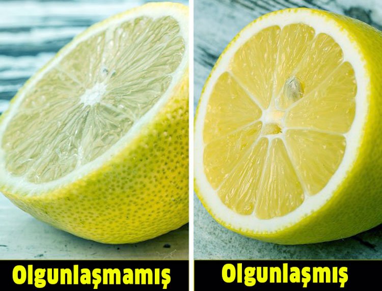 Yiyeceklerin Taze Olup Olmadığını Nasıl Anlarız? - 5