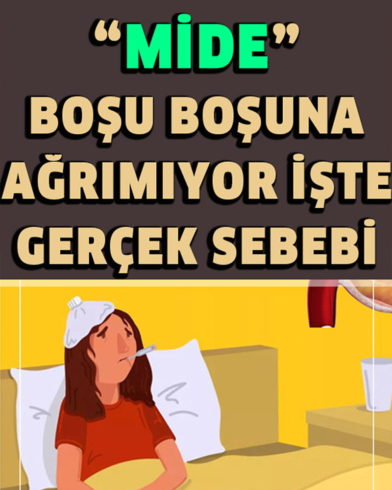 Asla Gözardı Etmemeniz Gereken 6 Mide Ağrısı - 1