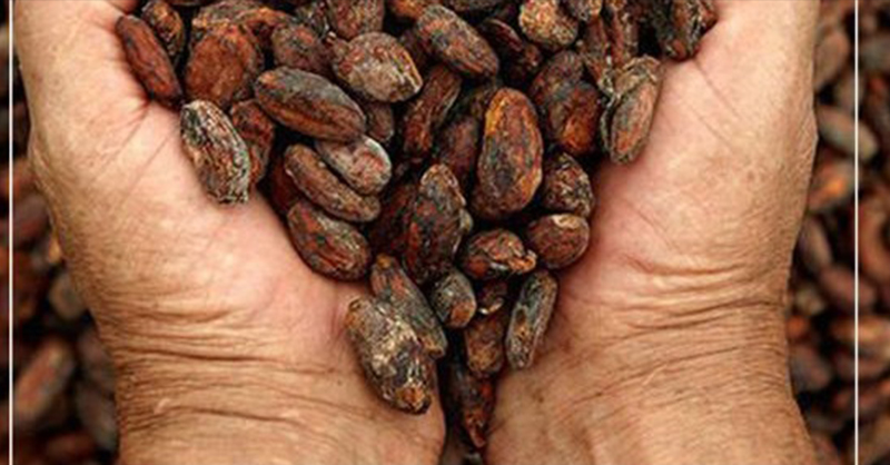 10 Gün Önce Ne Yediğinizi Bile Hatırlayacaksınız - 3