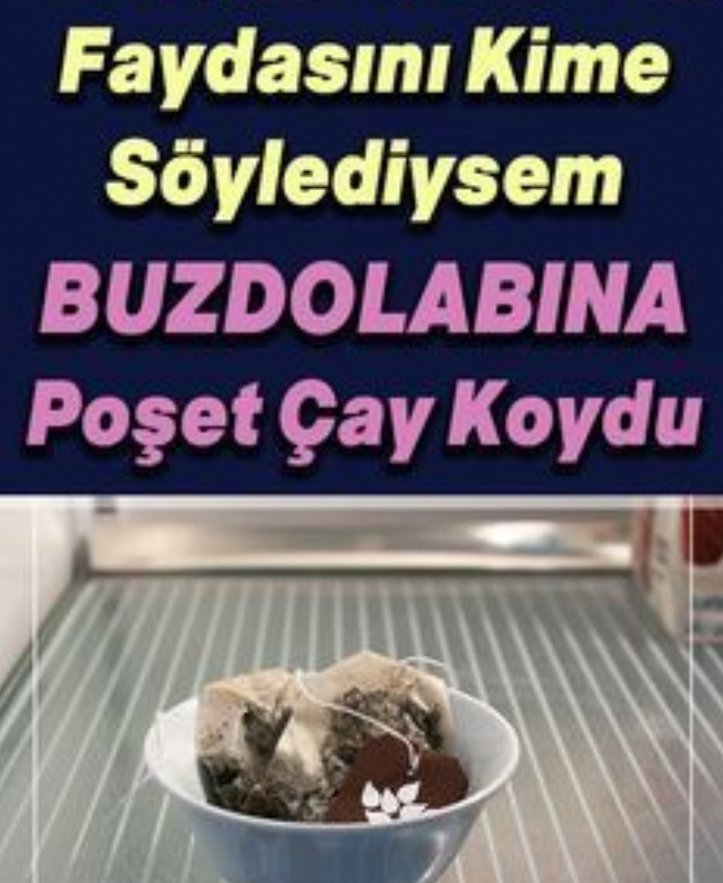 Faydasını Kime Söylediysem Buzdolabına Poşet Çay Koydu - 1