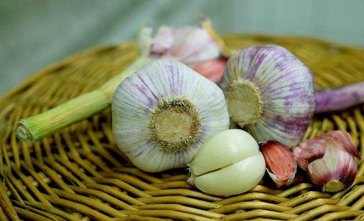 1 Damla Sürdüm Sivrisinekler Hiç Yaklaşamadı - 3