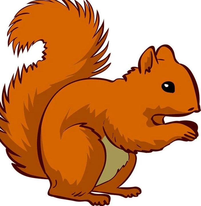 Resimde Gördüğün İlk Hayvan, Karakterini Ortaya Çıkaracak - 6