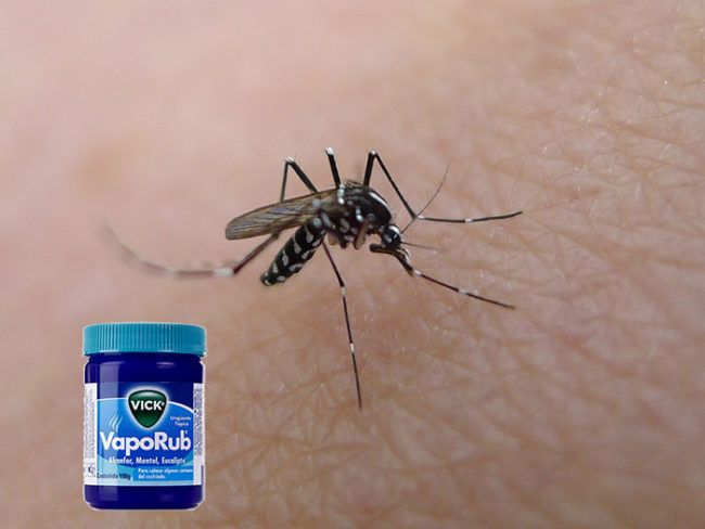 Vicks Nasıl ve Nerede Kullanılır - 2