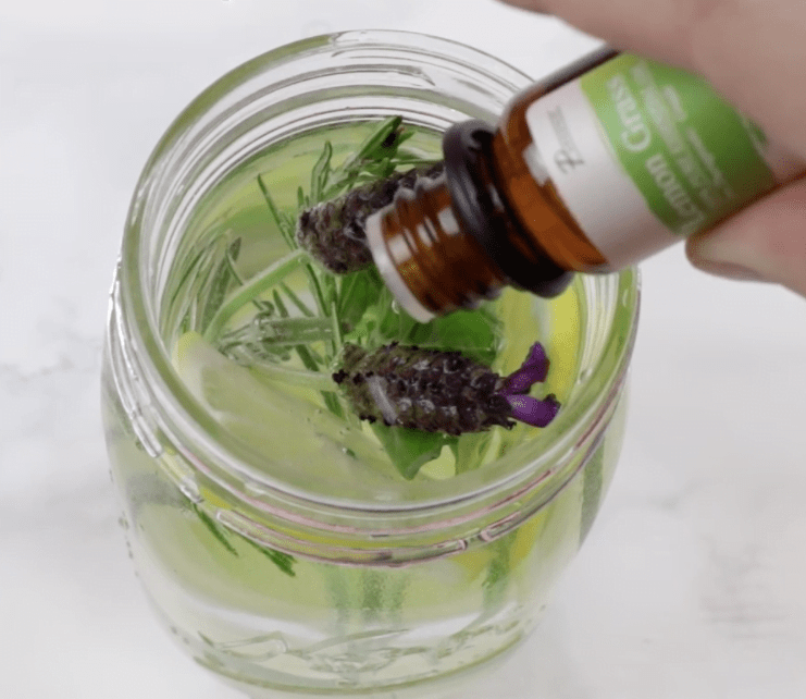 Evinizdeki Sineklerden 1 Dakikada Kurtulun - 4