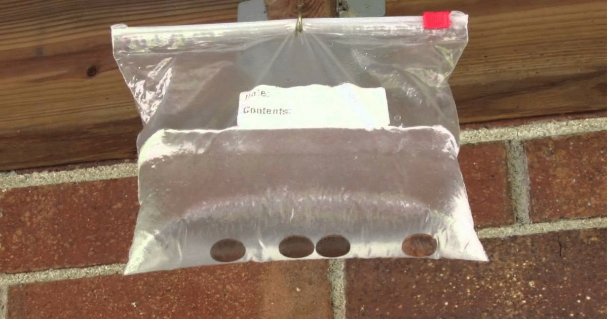 Ne Sinek Ne Böcek Evinizin Eşiğine Yaklaşamayacak - 4