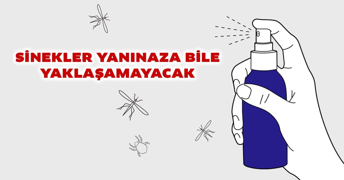 Hazırlayın Bir Fıs İle Bütün Sinekler Sizden Uzaklaşsın - 3