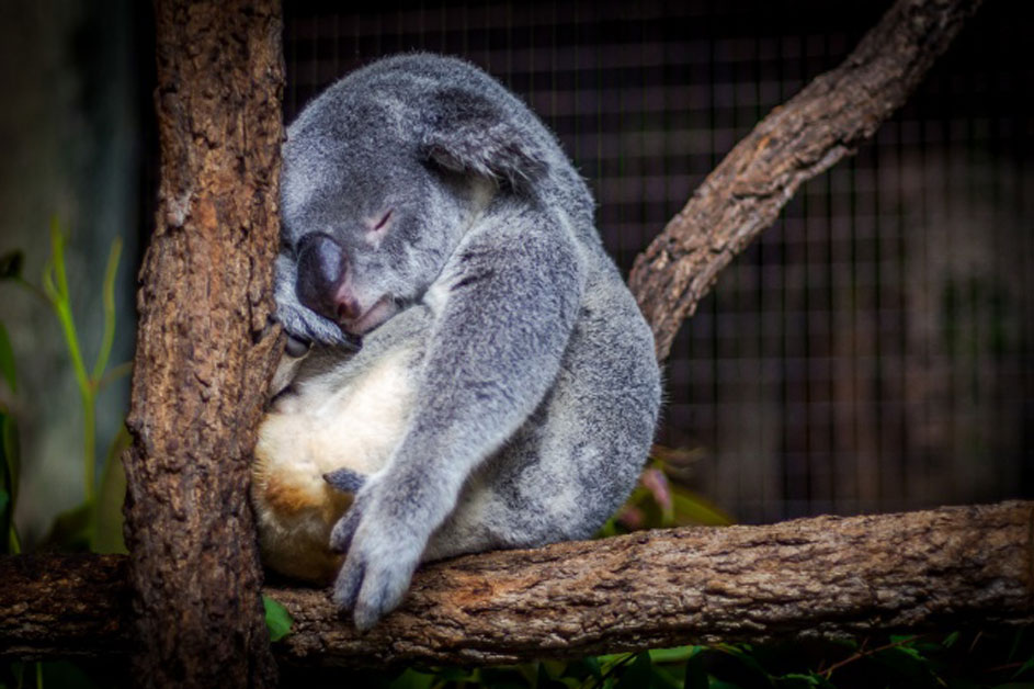 Bu 10 Alışkanlık Daha Hızlı Yaşlanmanıza Neden Oluyor - 4