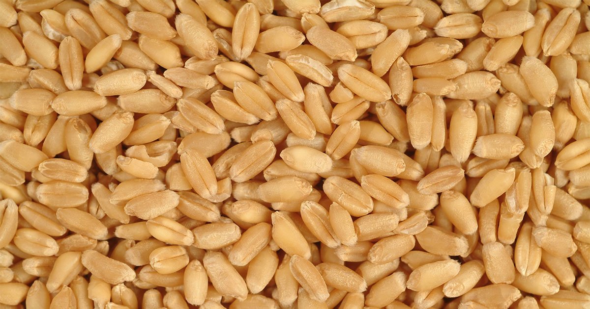 Yüz Şeklimizi Bozduğunu Bilmeden Hepimiz Bal Gibi Yiyoruz - 3